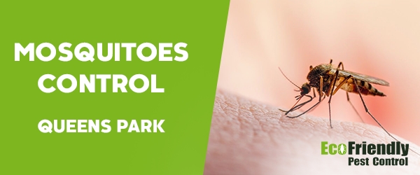 Mosquitoes Control  Queens Park 