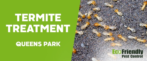 Termite Control  Queens Park 