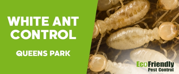 White Ant Control  Queens Park 