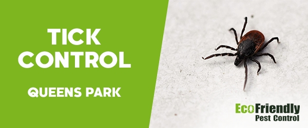 Ticks Control  Queens Park 