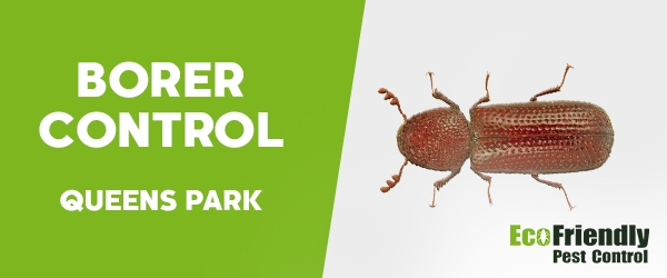 Borer Control  Queens Park 