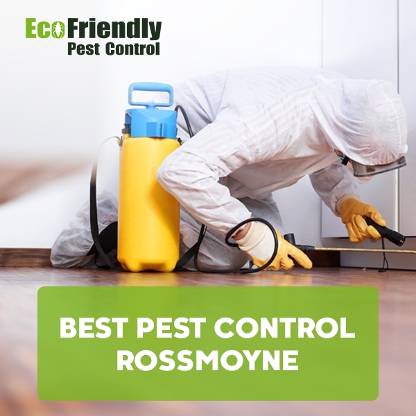 Best Pest Control  Rossmoyne 