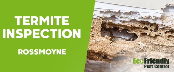 Termite Inspection  Rossmoyne 