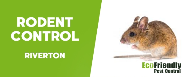 Pest Control Riverton