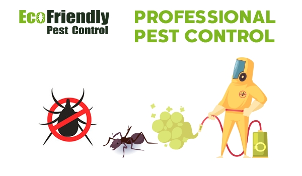 Pest Control Riverton