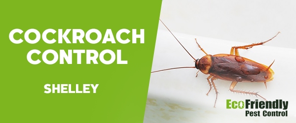 Pest Control Shelley