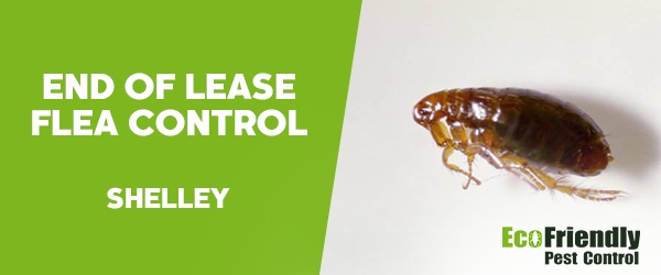 Pest Control Shelley