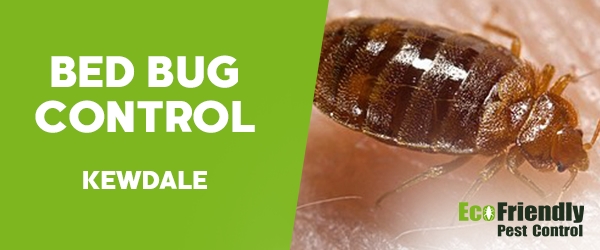 Bed Bug Control  Kewdale