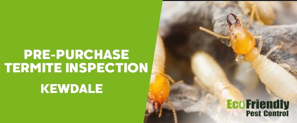 Pre-purchase Termite Inspection  Kewdale