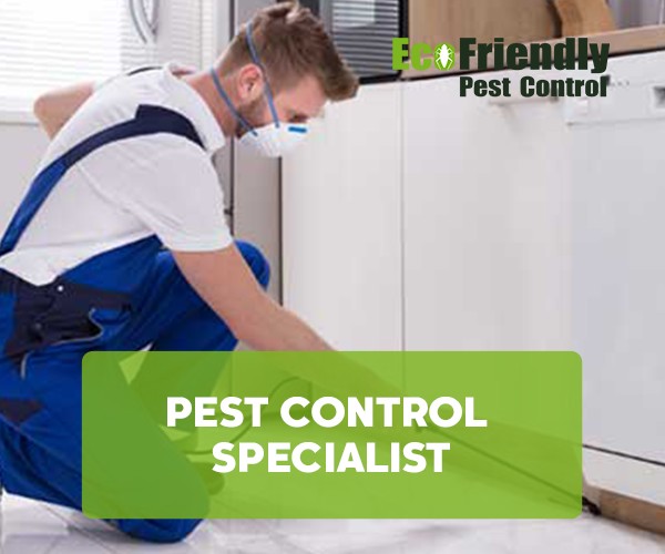 Pest Control Willetton