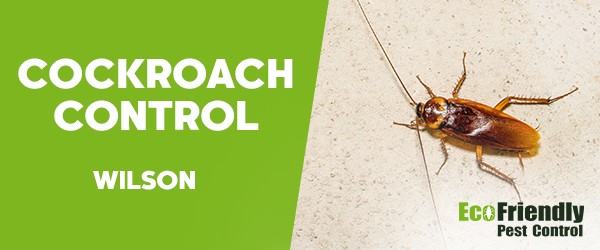 Cockroach Control  Wilson  