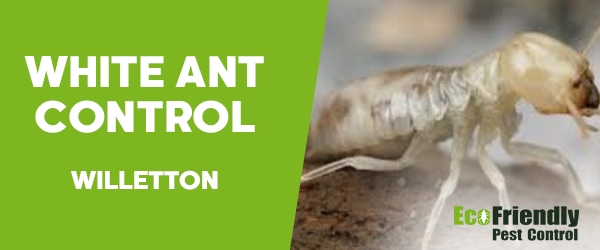 Pest Control Willetton