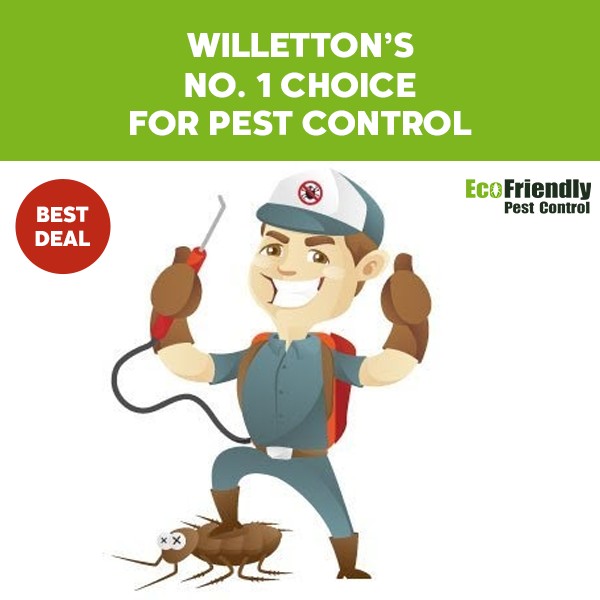 Pest Control Willetton