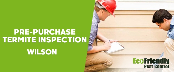 Pre-purchase Termite Inspection  Wilson 