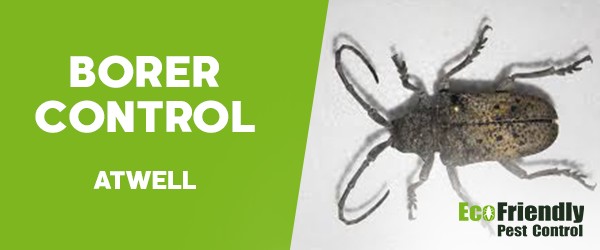 Borer Control  Atwell 