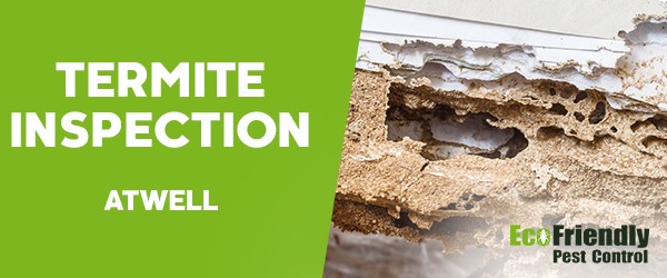 Termite Inspection  Atwell 