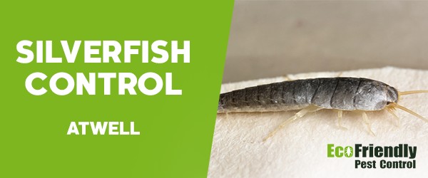 Silverfish Control  Atwell 