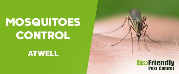 Mosquitoes Control  Atwell 