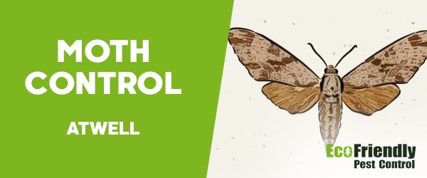 Moth Control  Atwell 