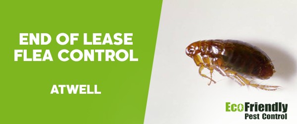 End of Lease Flea Control  Atwell 