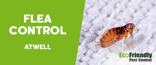 Fleas Control  Atwell 