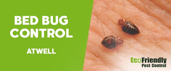 Bed Bug Control  Atwell 