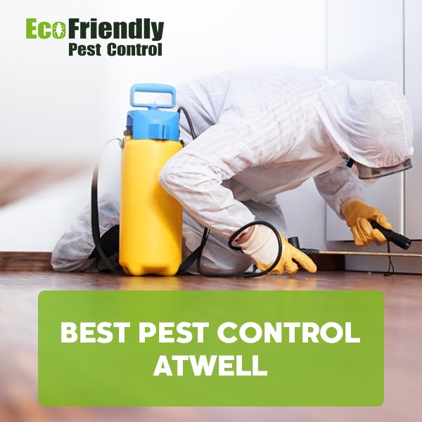 Best Pest Control  Atwell 