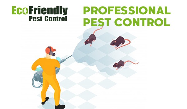 Pest Control Beeliar