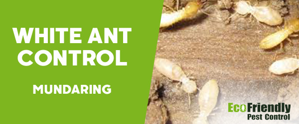 Pest Control Mundaring