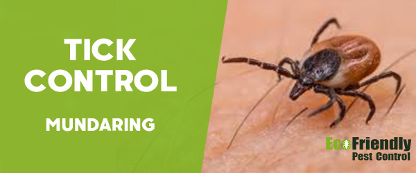 Pest Control Mundaring