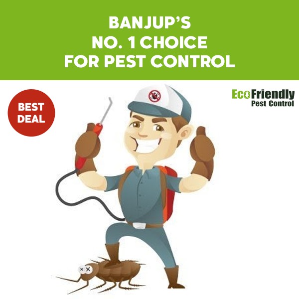 Pest Control Banjup