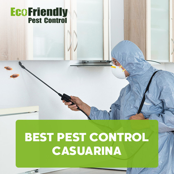 Pest Control Casuarina