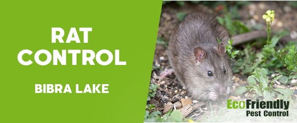 Pest Control Bibra Lake