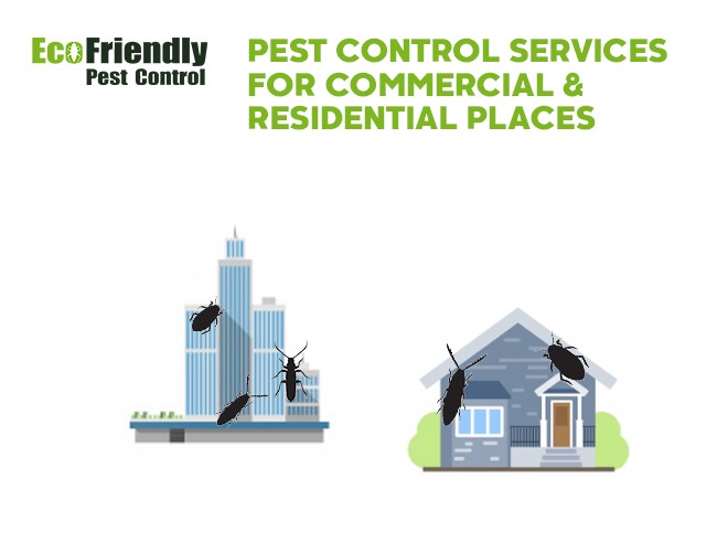 Pest Control Bibra Lake