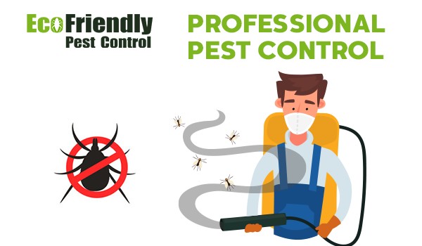 Pest Control Bibra Lake