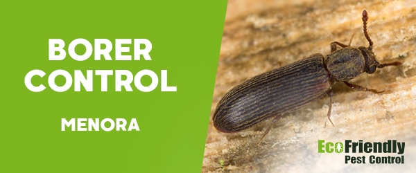 Borer Control  Menora 