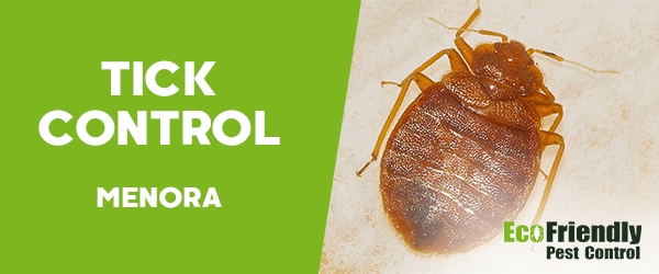 Ticks Control  Menora 