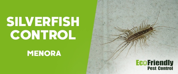 Silverfish Control  Menora 