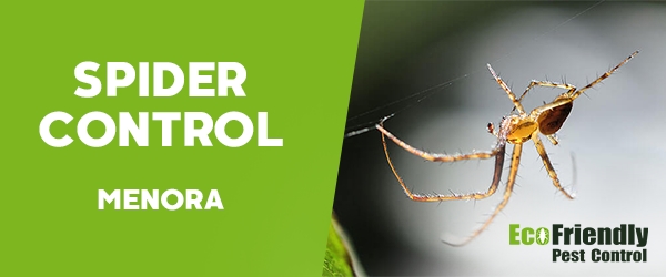 Spider Control  Menora 