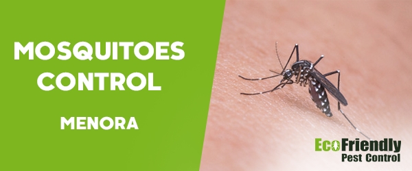 Mosquitoes Control  Menora 