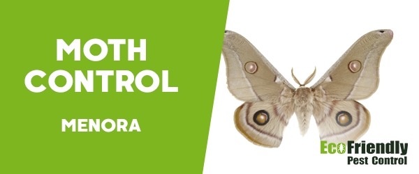 Moth Control  Menora 