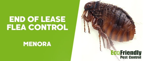 End of Lease Flea Control  Menora 