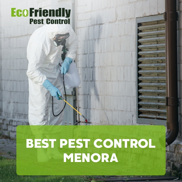 Best Pest Control  Menora 