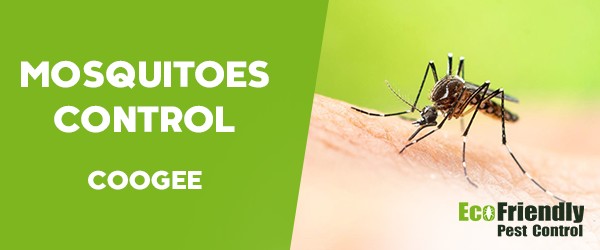 Mosquitoes Control  Coogee 