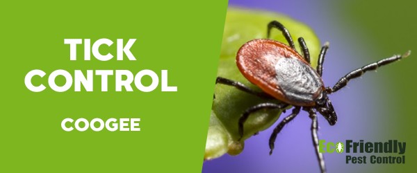 Ticks Control  Coogee 