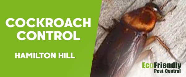 Cockroach Control  Hamilton Hill  