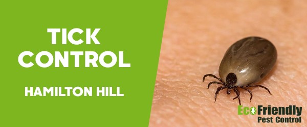 Ticks Control  Hamilton Hill 