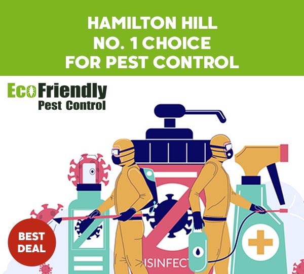 Pest Control Service