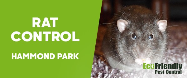 Pest Control Hammond Park