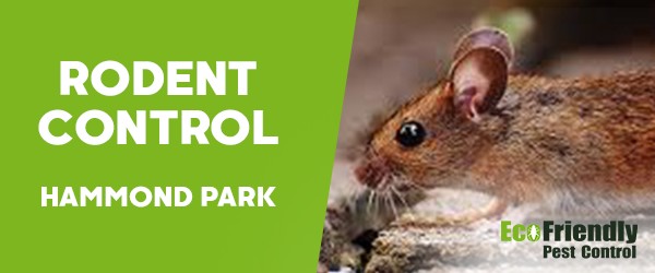 Pest Control Hammond Park
